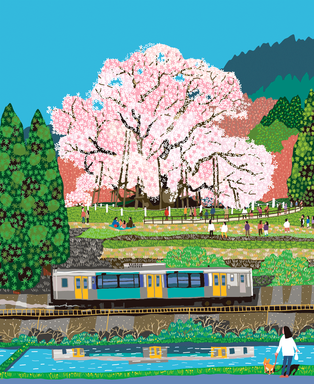 戸津辺の桜（矢祭町）
