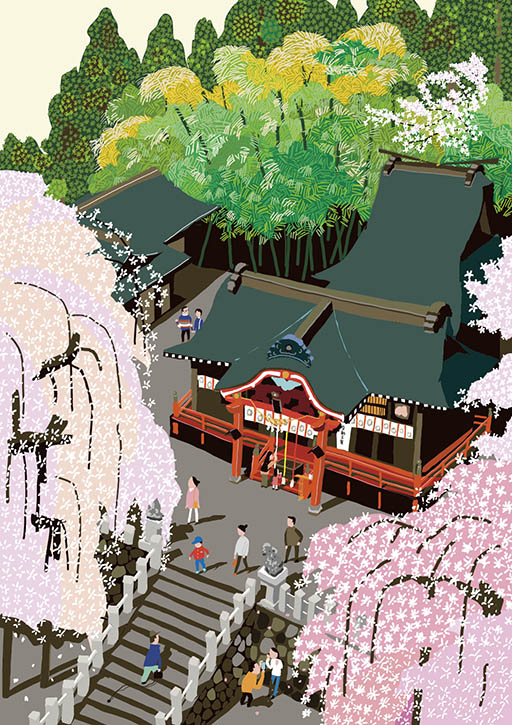 小川諏訪神社のシダレザクラ（いわき市）